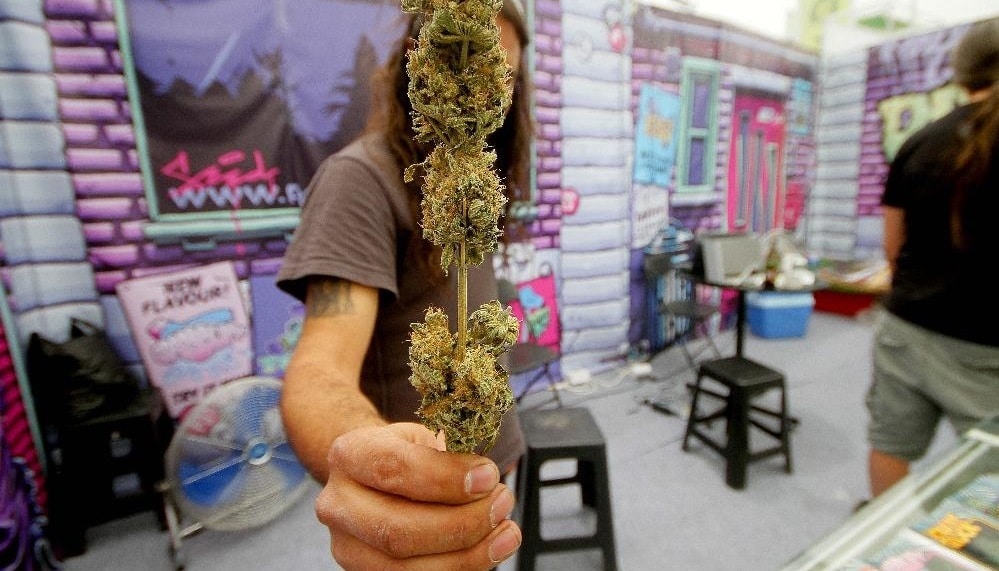 ouverture de la coupe cannabique au mexique 2