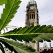 prochaine régulation de l étiquetage du cannabis au canada