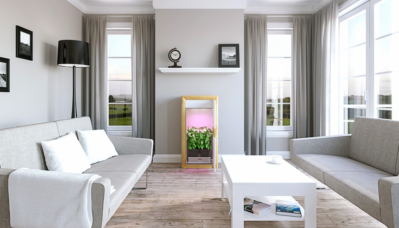 urban chili un espace de culture à la maison 1