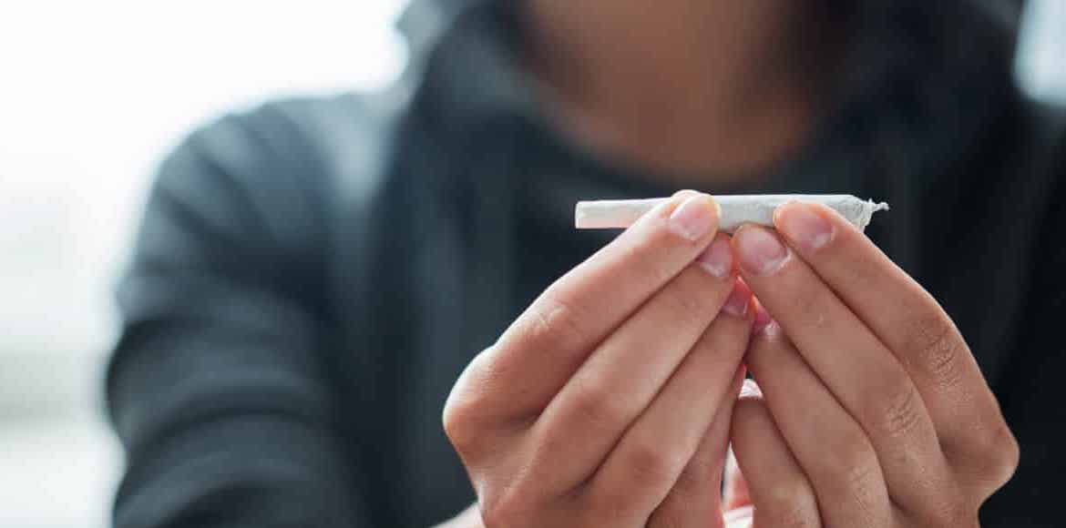 amende et désinformation comment les états s acharnent sur le cannabis