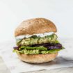 hemp therapea le hemp burger australien