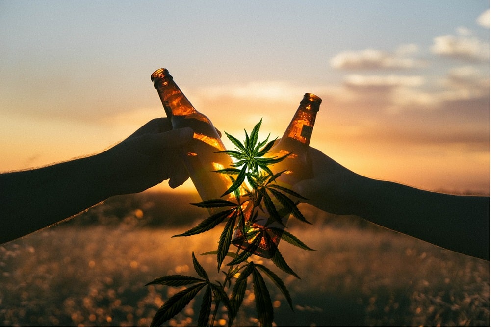 la bière infusée aux cannabinoïdes