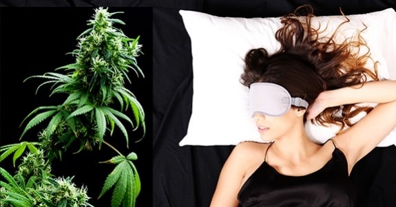 le cannabis contre l insomnie les australiens font l expérience