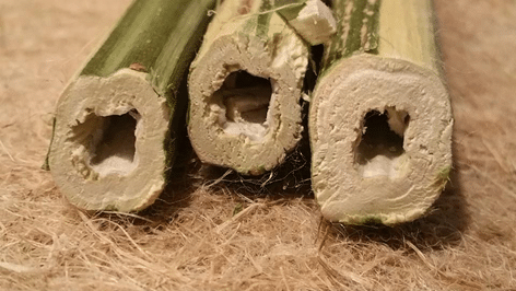 les maisons écolos 2.0 en béton de chanvre