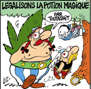 nos ancêtres les gaulois aimaient déjà la weed 3 Nos ancêtres les Gaulois aimaient déjà la weed cannabis sativa
