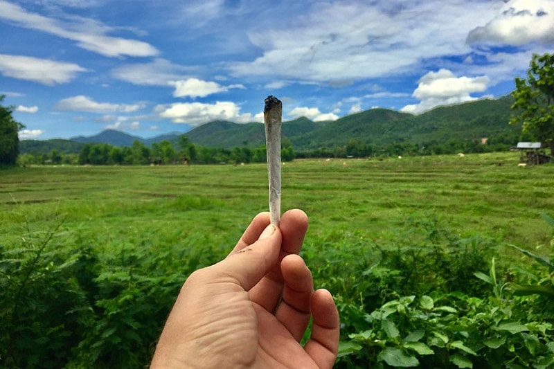 californie et légalisation pourquoi les gens ne fument pas plus de cannabis 2