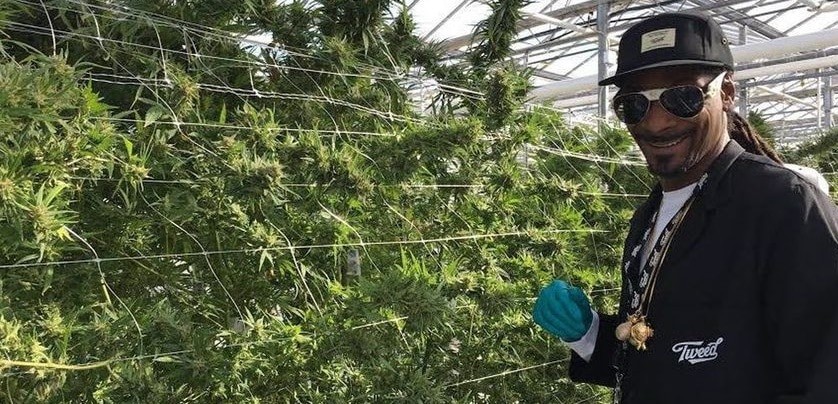 snoop dogg co propriétaire de la plus grande entreprise de culture au monde 5