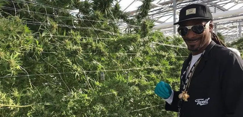 snoop dogg co propriétaire de la plus grande entreprise de culture au monde 5