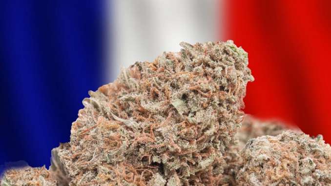 82 des français se déclarent favorables au cannabis médical