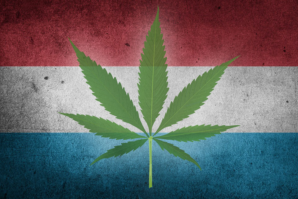 cannabis medical luxembourg