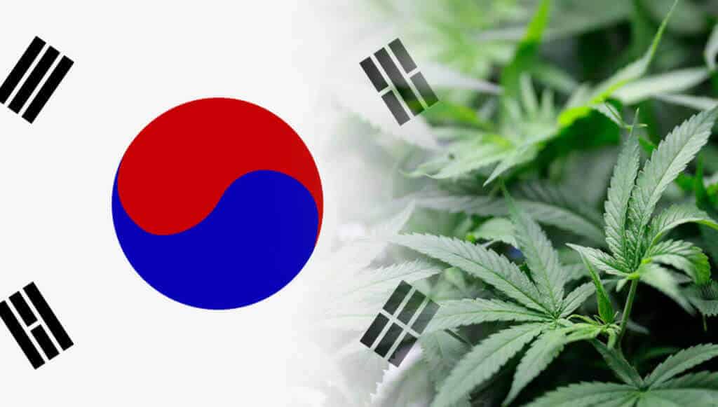 corée du sud premier pas de la légalisation à usage médical 1