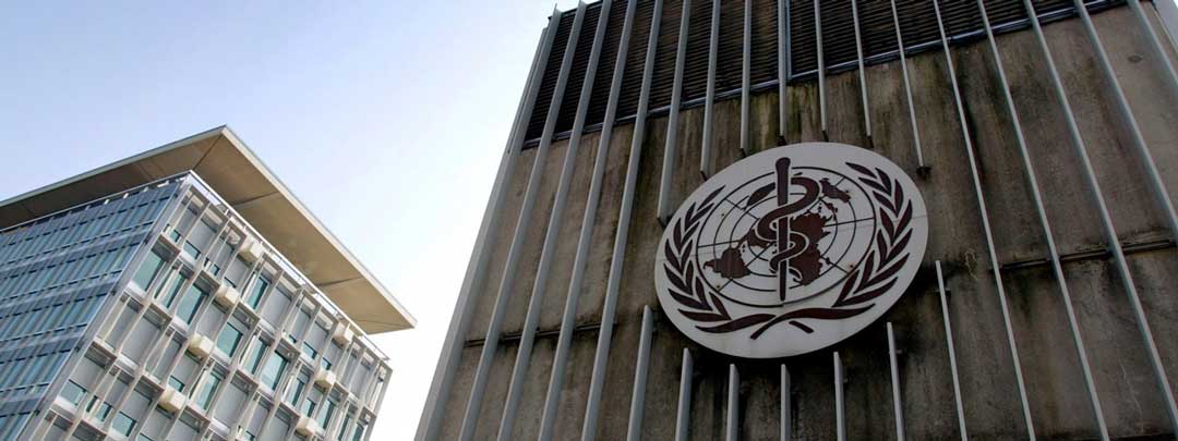 pour la première fois l oms examine la légalité de la marijuana