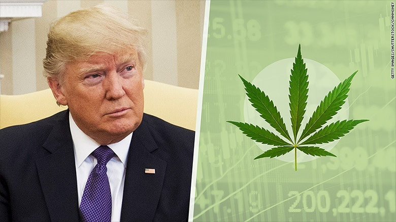 vers une légalisation du cannabis sur tout le territoire américain 2