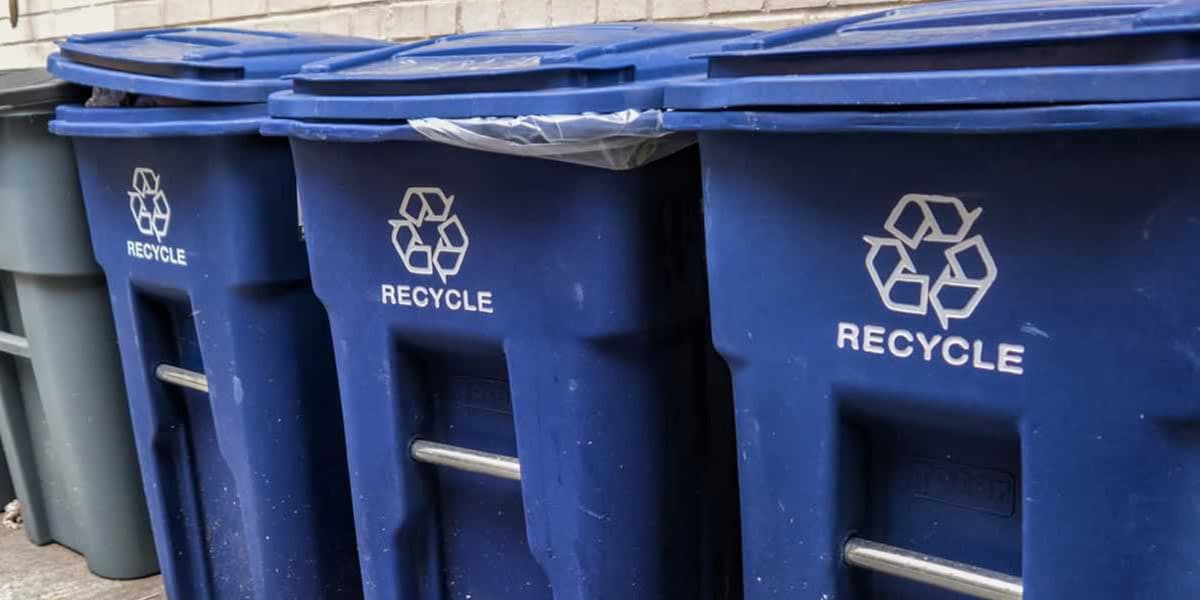 de l herbe non conforme dans les poubelles de la californie 2