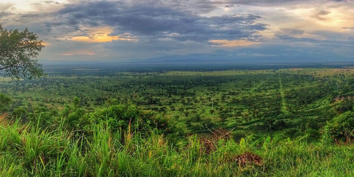 israël investit dans la culture du cannabis en ouganda 1