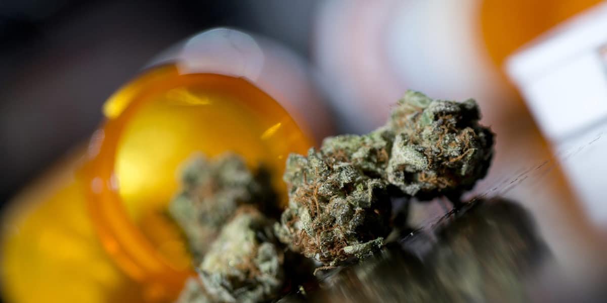 le michigan rajoute 11 conditions d admissibilité au cannabis médical 2