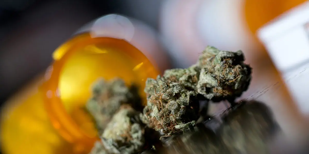le michigan rajoute 11 conditions d admissibilité au cannabis médical 2