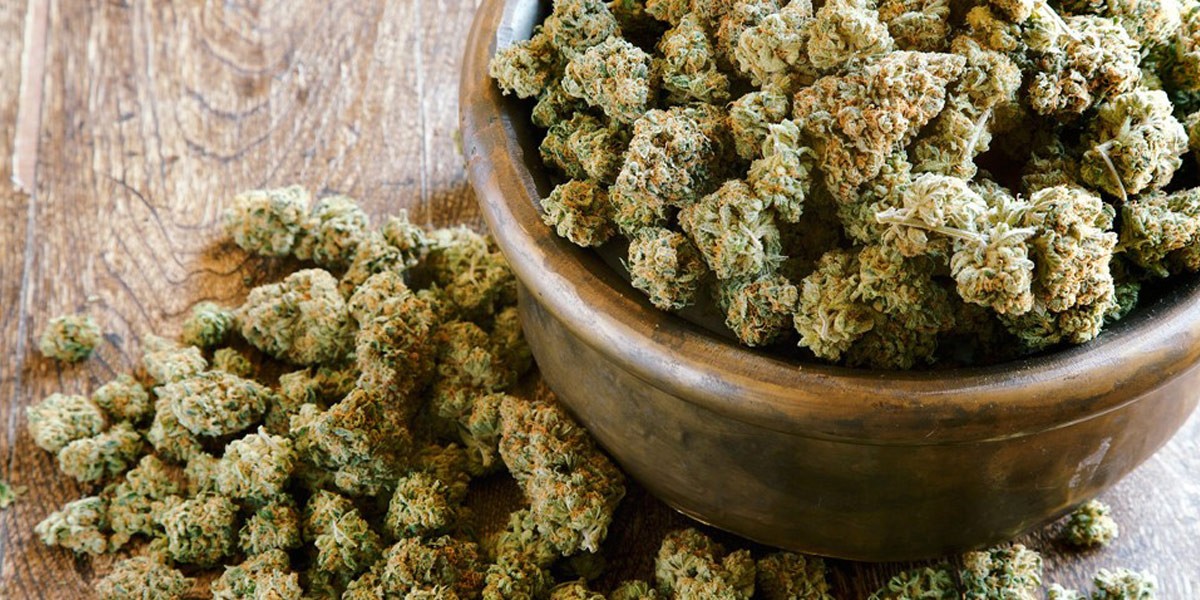 le top 8 des souches de cannabis en 2018 9