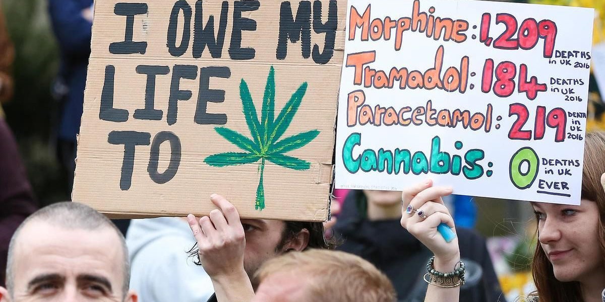 une majorité du public britannique soutient la légalisation du cannabis 3