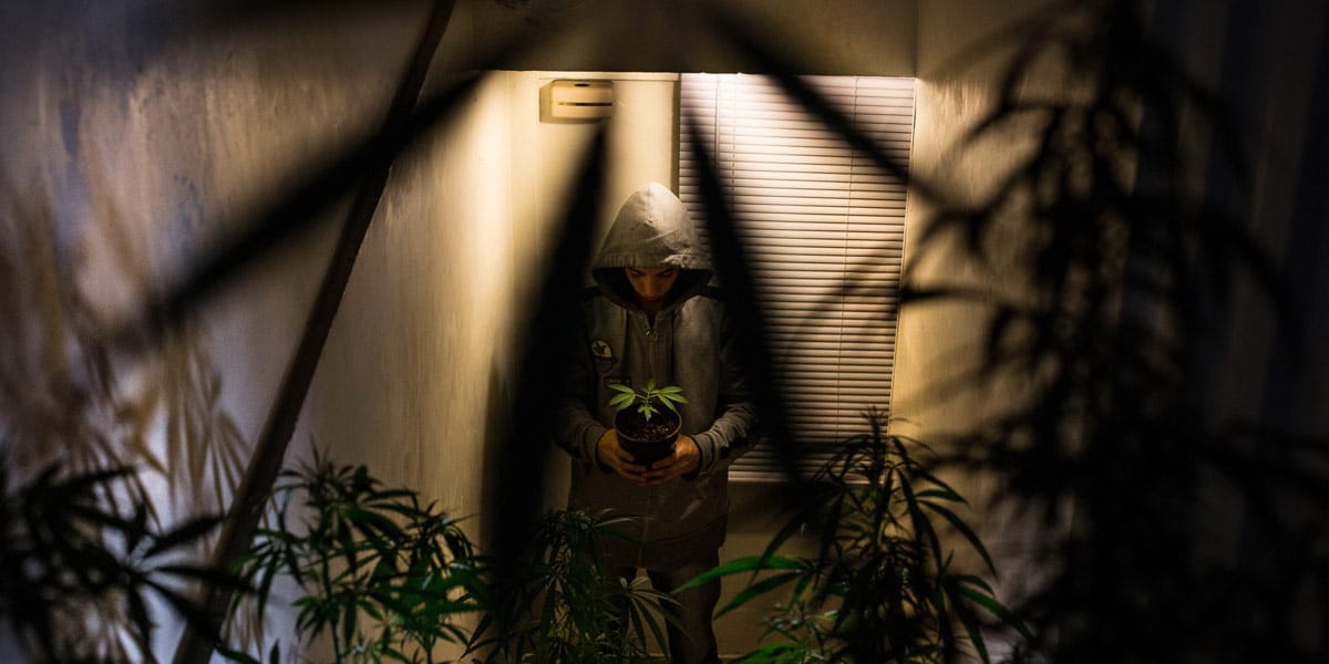 l intérieur des jardins secrets de medellín 1