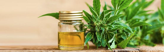 17 bienfaits de l’huile de cannabis