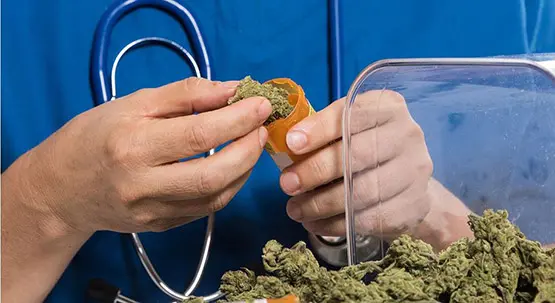 en illinois les parents peuvent administrer du cannabis médical à l école en illinois les parents peuvent administrer du cannabis médical à l école