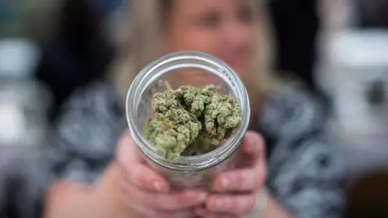 cannabis therapeutique