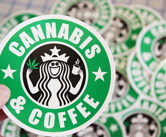 cannabis médical,distribution,Starbucks