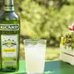 le groupe ricard pernod s intéresse au marché du cannabis