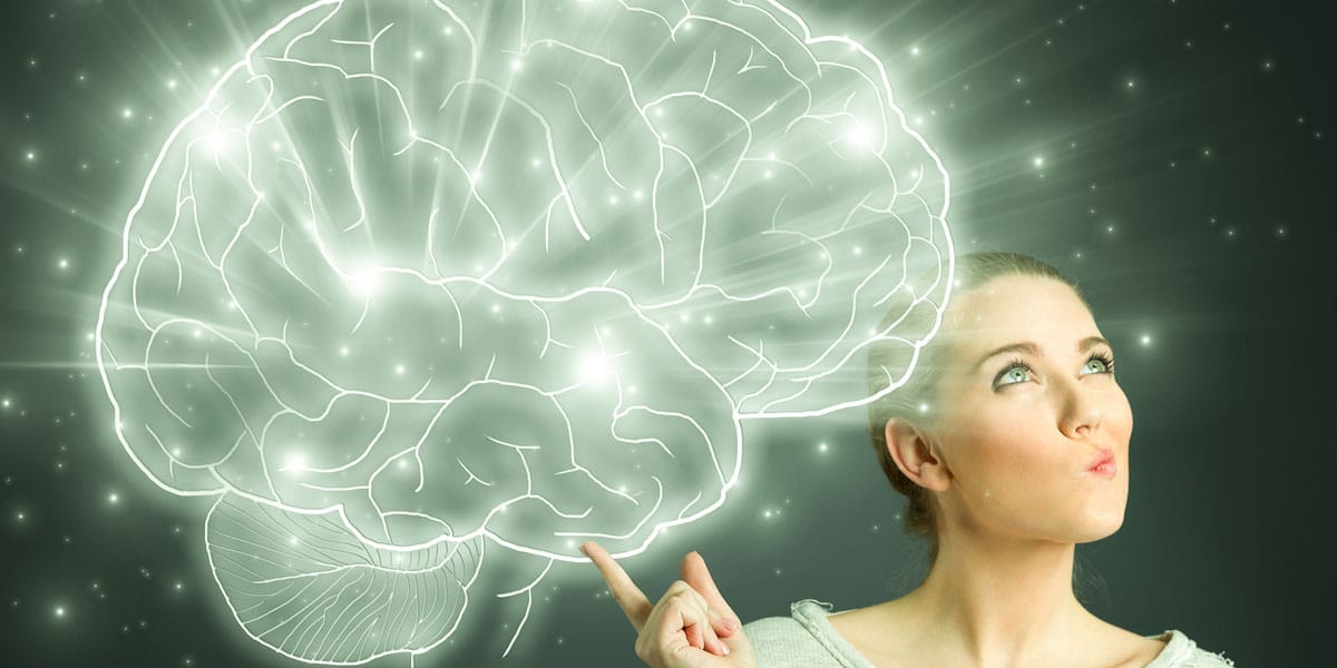 notre cerveau est pré câblé pour le cbd 5