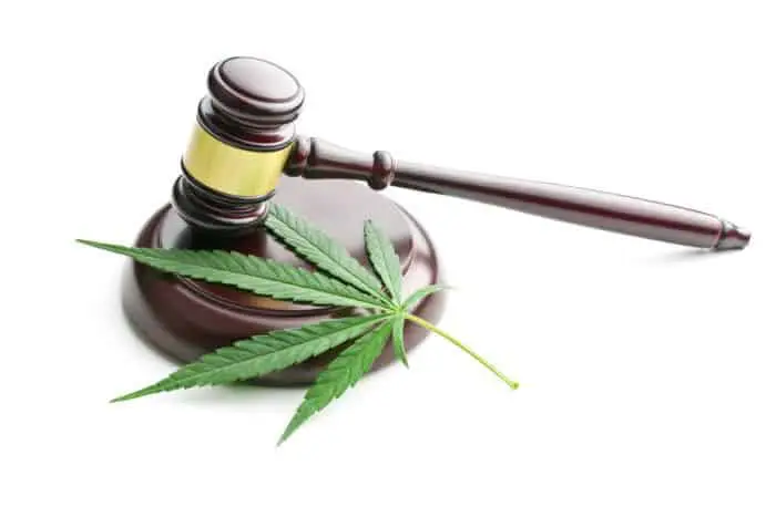 Leafly BfArM premiere recolte