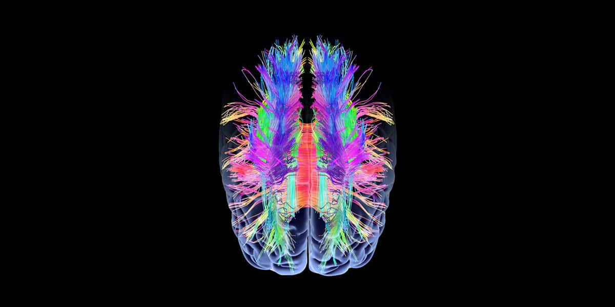 augmentation de l activation corticale pendant l état de repos