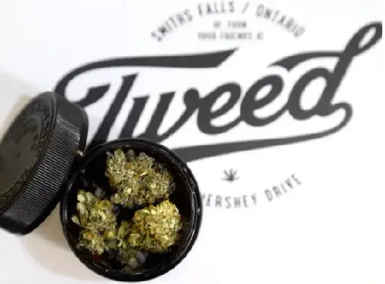 canopy growth