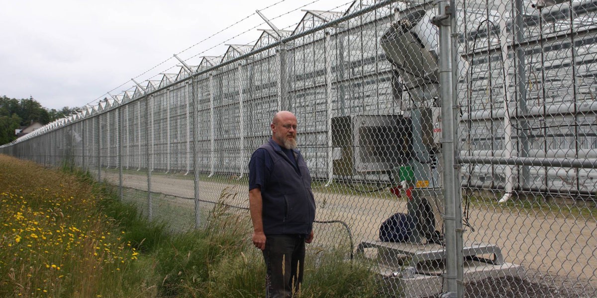 désastre dans une installation de chez canopy growht 2