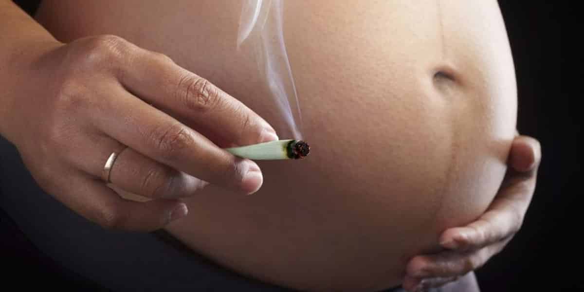 l exposition in utéro impacte la sociabilité chez les descendants mâles 2