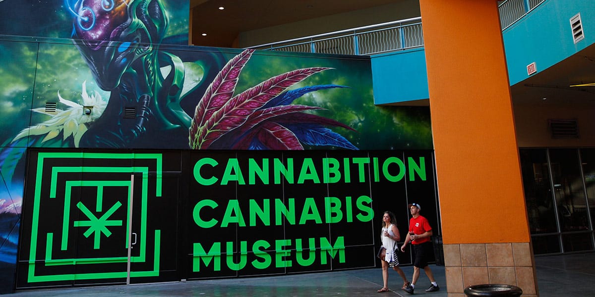 le musée de la marijuana ouvre ses portes à vegas 1