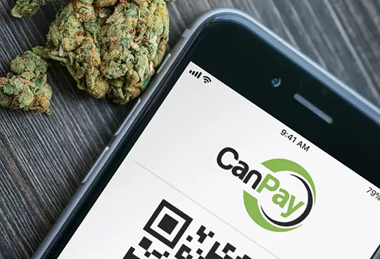 industrie cannabis