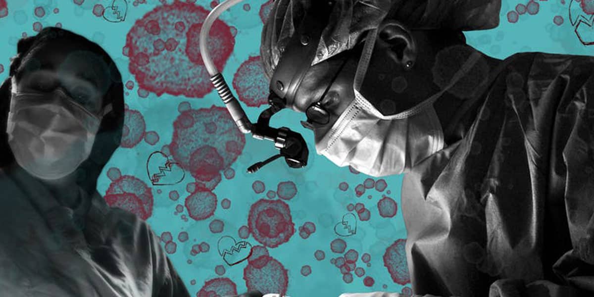 remède possible pour le rejet d une greffe d organe