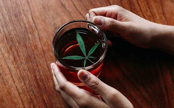  feuille de cannabis feuilles cannabis