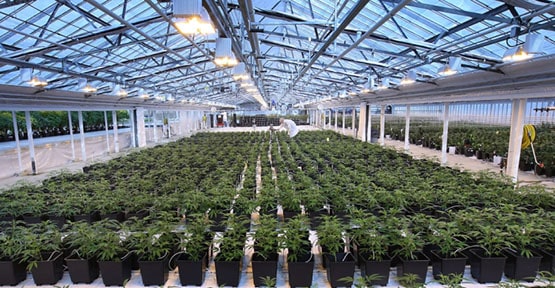 La robotique, la clé de la production à bas prix