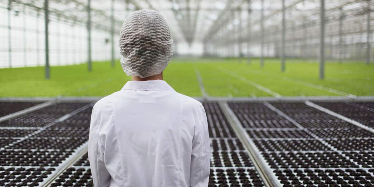 la robotique la clé de la production à bas prix