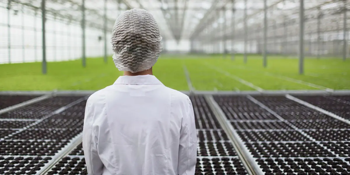 la robotique la clé de la production à bas prix