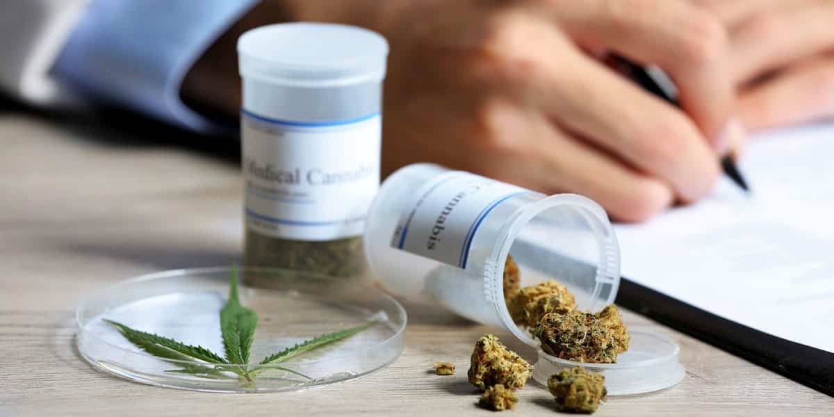 le royaume uni annonce la légalisation médicale du cannabis 3