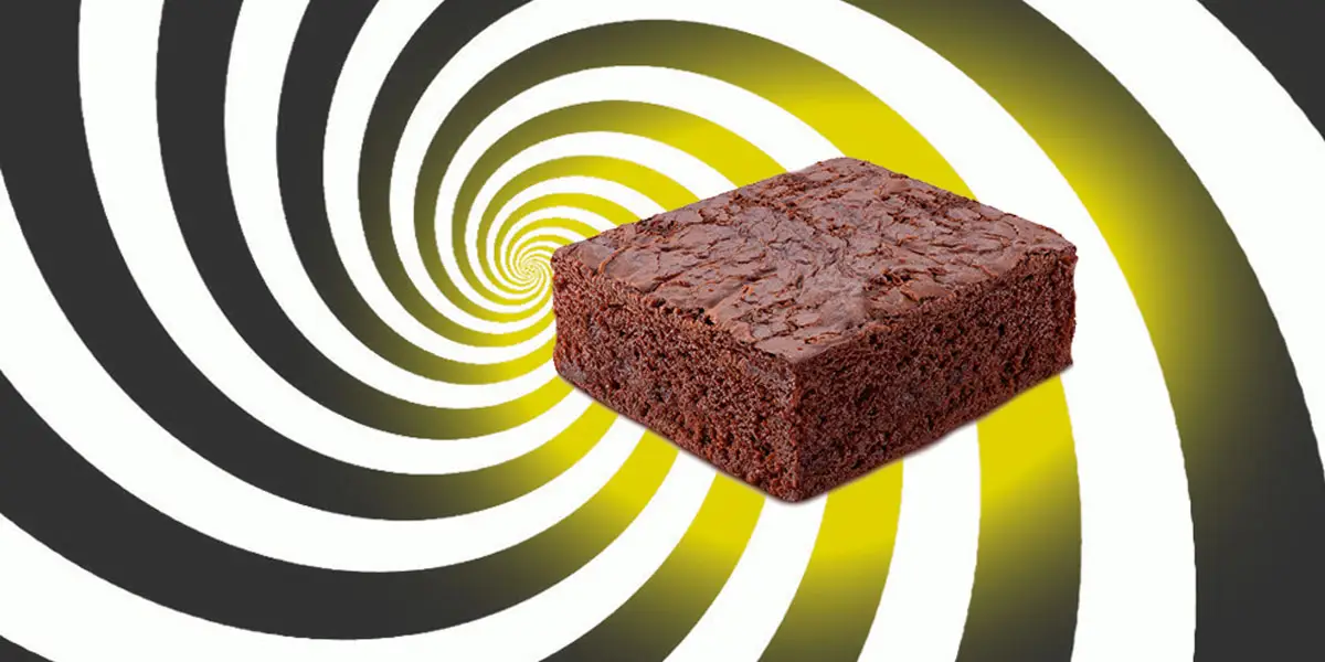 les 3 meilleures recettes pour un space cake 6