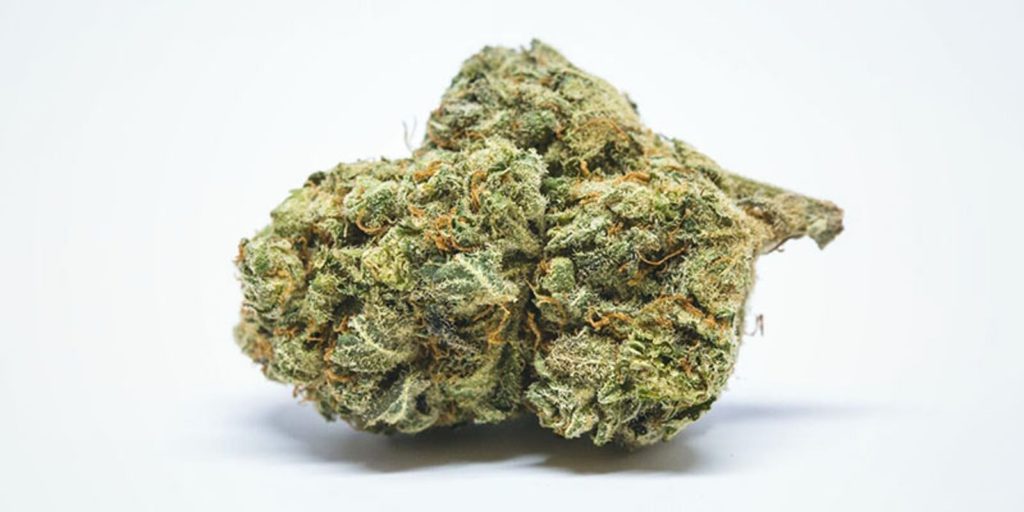 les variétés plébiscitées pour le trouble de l attention avec hyperactivité tdah 4 2 dominance sativa