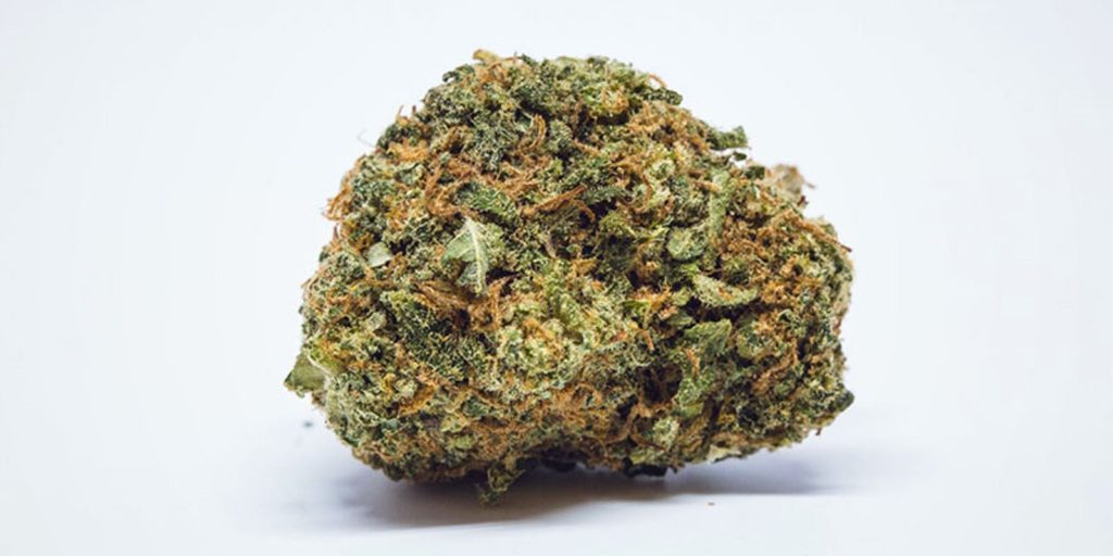 les variétés plébiscitées pour le trouble de l attention avec hyperactivité tdah 5 2 dominance sativa