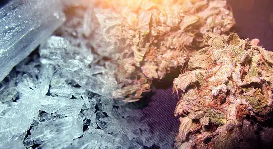 marijuana melangee