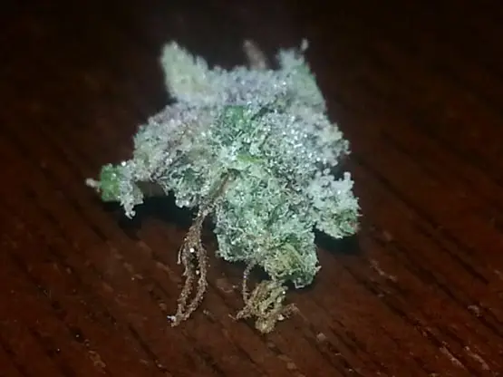 marijuana melangee