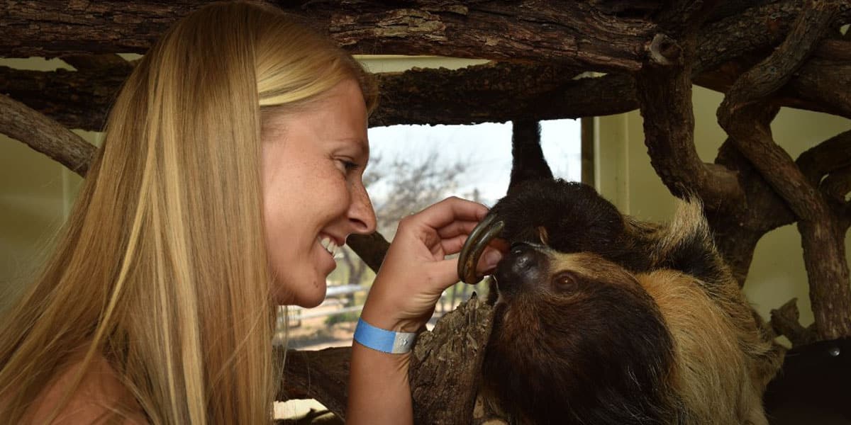 un parc animalier traite les animaux avec du cbd 2