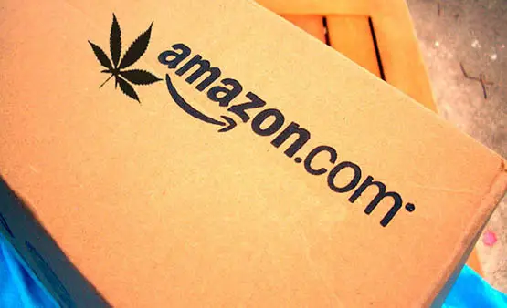 legalisation cannabis